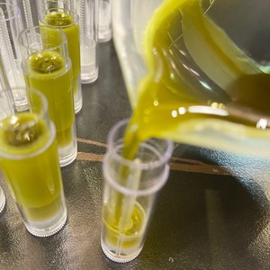 自制金银花艾草薄荷膏【超详细教程】