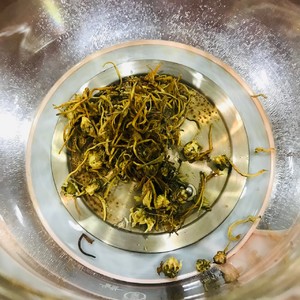 秋燥祛火金银花