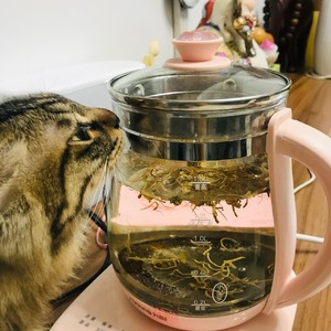 秋燥祛火金银花