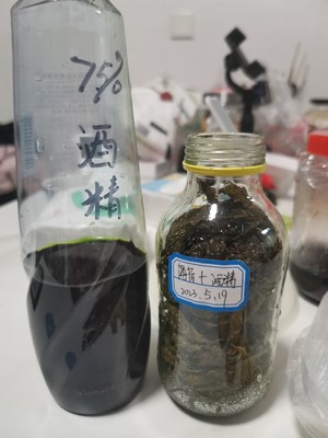 自制薄荷金银花露水（外用）