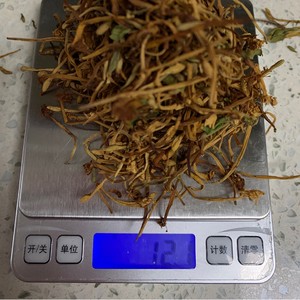 金银花青果罗汉果喉咙痛消炎茶