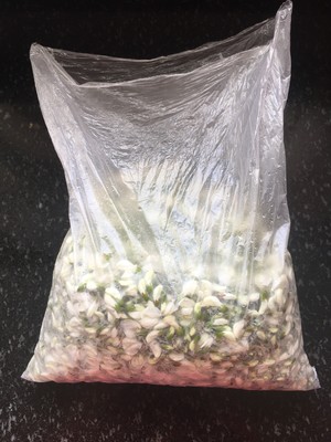 「新鲜槐花的两种✌️储存方法」