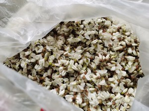 槐花包子