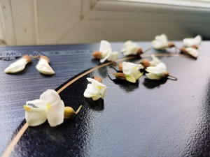 槐花包子