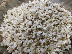 香断魂的槐花吃法