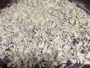 蒸槐花（万能蒸菜方子）