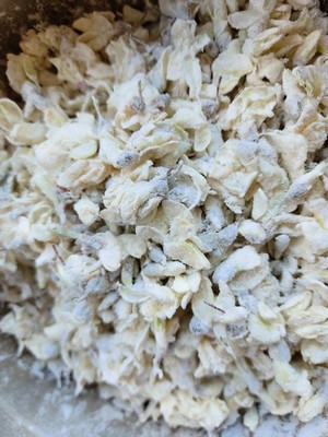 春季时令菜之蒸槐花