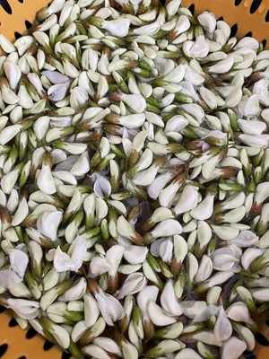 春日限定槐花炒鸡蛋