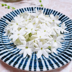 ?茉莉花冷冻冰块|冰爽一夏.满口留香?