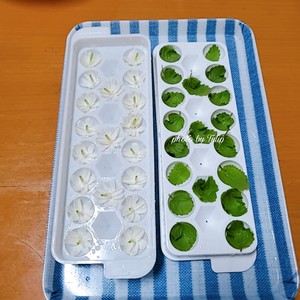 ?茉莉花冷冻冰块|冰爽一夏.满口留香?