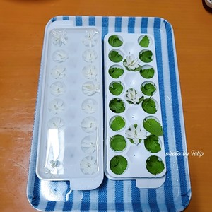 ?茉莉花冷冻冰块|冰爽一夏.满口留香?