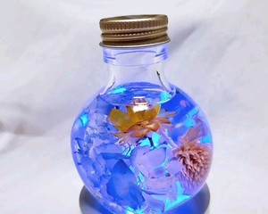 ?茉莉花冷冻冰块|冰爽一夏.满口留香?