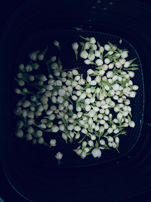 空气炸锅烘干茉莉花
