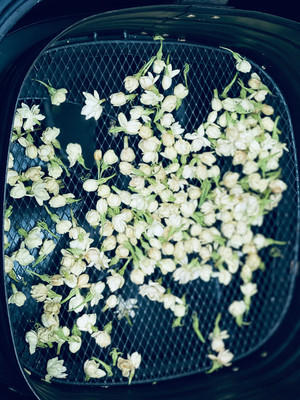 空气炸锅烘干茉莉花