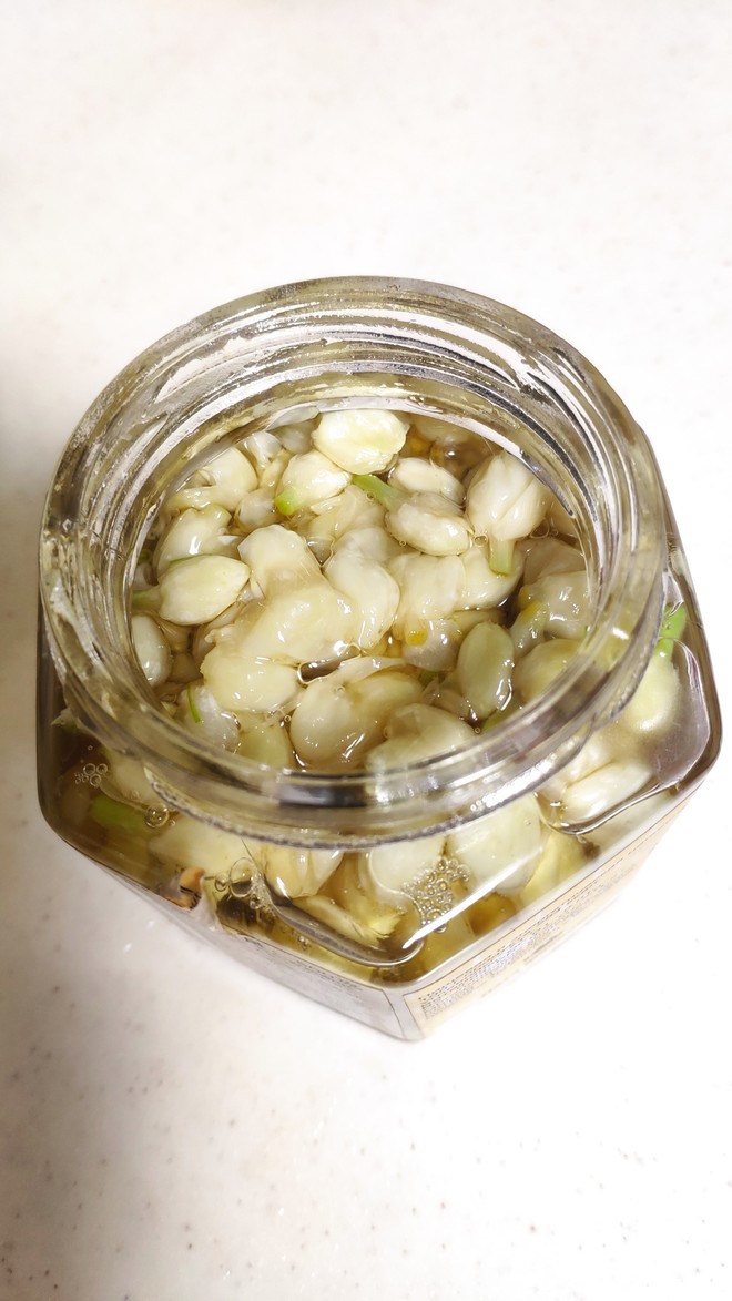 简单易学茉莉花酱
