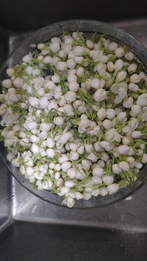 简单易学茉莉花酱