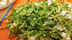 简单易学茉莉花酱