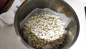简单易学茉莉花酱