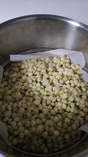 简单易学茉莉花酱