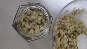 简单易学茉莉花酱