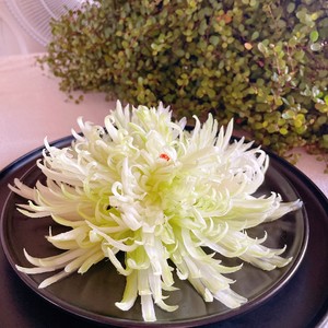 凉拌凤尾菊花西芹