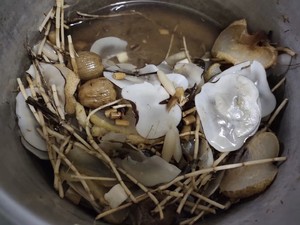 茅根菊花海底椰膏/土茯苓膏