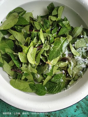 薄荷艾草膏