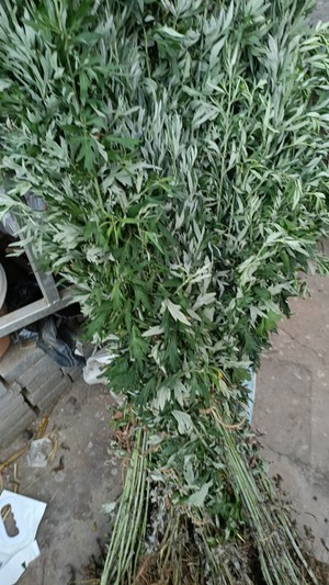薄荷艾草膏