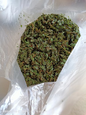 薄荷艾草膏