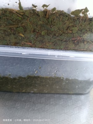 薄荷艾草膏