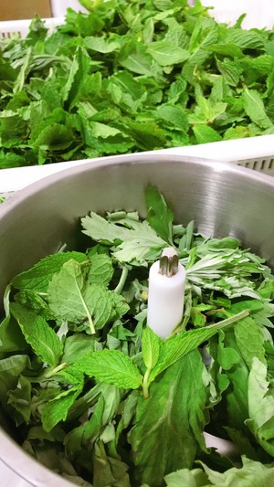 薄荷艾草膏，夏季驱蚊神器o