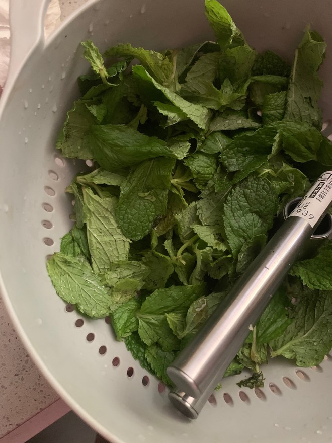 这样吃薄荷我真的会爱 一吃一大盆