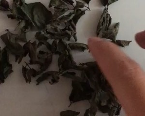 自制薄荷茶叶