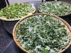 浓郁的艾草薄荷膏