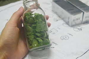 消灭疯长的薄荷之自制花露水