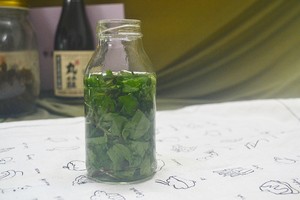 消灭疯长的薄荷之自制花露水