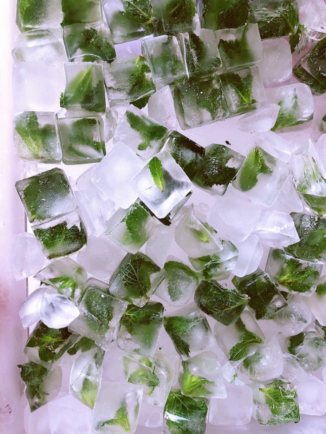 新鲜薄荷叶保存