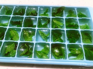 新鲜薄荷叶保存