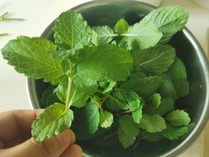【入门菜】薄荷牛肉