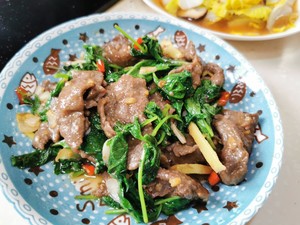 【入门菜】薄荷牛肉