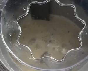 荔枝玫瑰Gelato