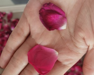 玫瑰花酱不涩的秘诀