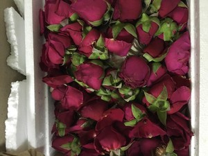 玫瑰花酱