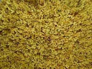 桂花糖酱(干桂花、鲜桂花两种制作方法)