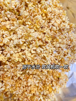 奶奶教我做的桂花蜜 满屋飘香 一次就成功了