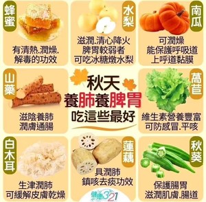素食，小油菜豆腐袖珍菇炖粉丝