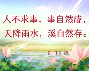 素?青椒茄子丝、番茄炒荀瓜、袖珍菇炖豆腐、炒面?感恩吃素?