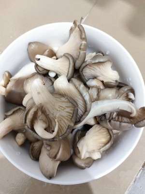 凉拌秀珍菇