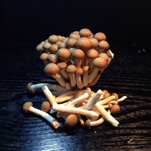 肉片真姬菇