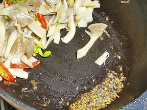 孜然干煸袖珍菇（平菇）- 爱烧烤必爱吃